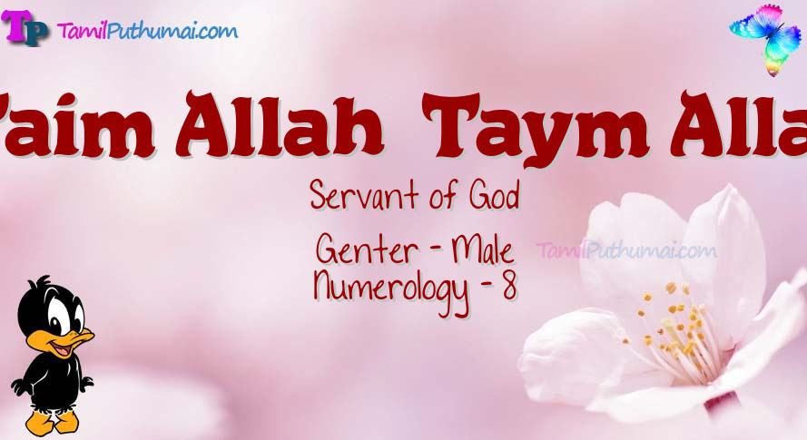 Taim Allah  Taym Allah-babyname-meaning